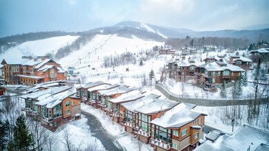 20 Sterling Ln unit 16, Stowe, VT 05672 - photo 5