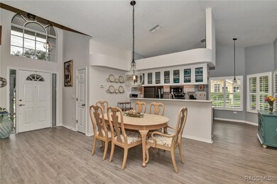 11 Byrsonima Loop, Homosassa, FL 34446 - photo 7