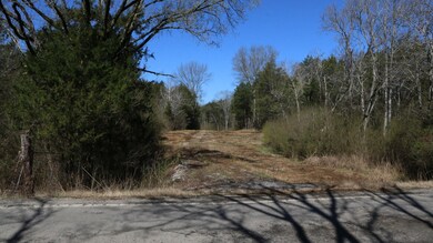 3480 Verona Caney Rd, Lewisburg, TN 37091 - photo 5