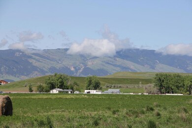 Lot View 4