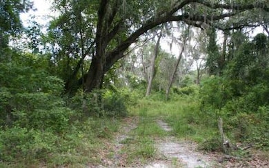 0 Cr 245 - Price Creek unit 81514, Lake City, FL 32025 - photo 4
