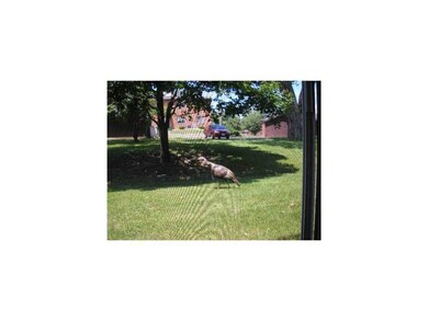 . Deer and turkey often seen backyard!