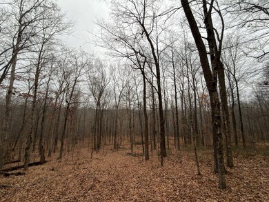 TBD1 E Willow Rd, Jackson Township, IN 47424 - photo 7