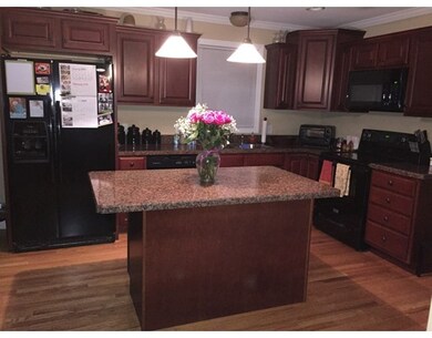 19 Wing St, Springfield, MA 01151 - photo 4