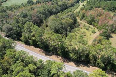 0 Hwy 277 unit 11615290, Graceville, FL 32440 - photo 4