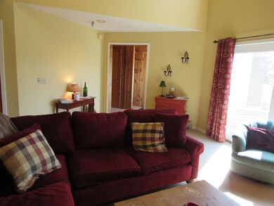 41 High Point Dr unit E-32, Stratton, VT 05360 - photo 5