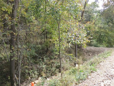 FUTURE POND SITE, TIMBER