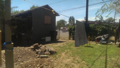 IMAG2481