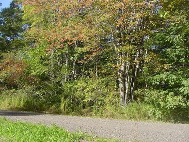 Peaceful wooded lot on well...