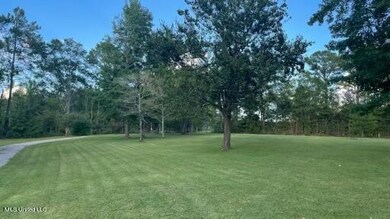 morgan field yard4