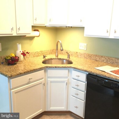 3904 Lawrence Ave, Kensington, MD 20895 - photo 3