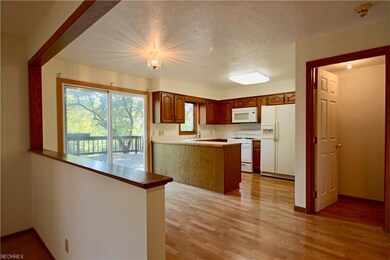 Another kitchen view with door to the basement