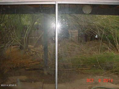 Back Yard 1