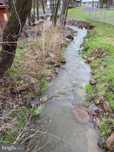 66 Main St, Maysville, WV 26833 - photo 6