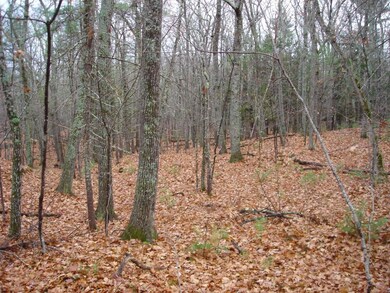 11 Buzzell Rd, Dayton, ME 04005 - photo 4