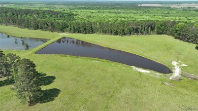 887 Highway 239, Midway, AL 36016 - photo 7