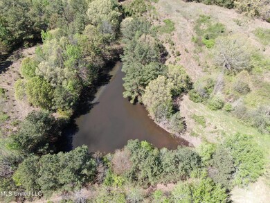 DJI_0152