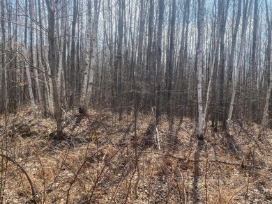 ON Up River Rd, Phillips, WI 54555 - photo 4