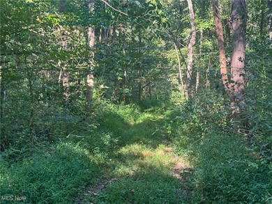 0 Greenlawn Rd unit 2, Quaker City, OH 43773 - photo 5