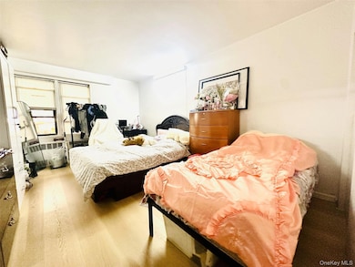 Carlyle Skyline Towers unit 8N, Flushing, NY 11355 - photo 4