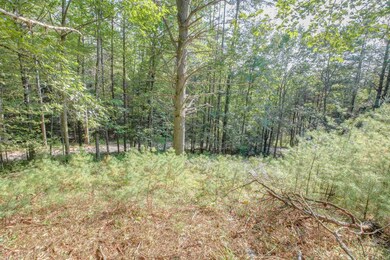 0 Glebe Rd unit Lot 35 4971368, Lyman, NH 03585 - photo 5