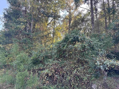 000 Quattlebaum Ave, Ridge Spring, SC 29129 - photo 2