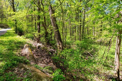 TBD Whispering Woods Path, Mars Hill, NC 28754 - photo 6