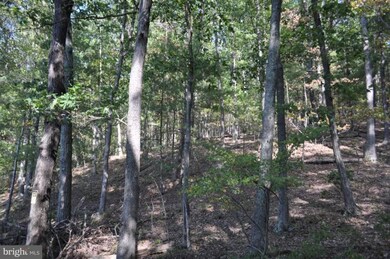 0 Highland Ridge Rd unit 1000167645, Berkeley Springs, WV 25411 - photo 5