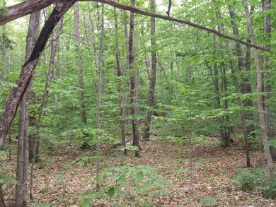 236 E Old Alfred Rd, Hollis Center, ME 04042 - photo 7