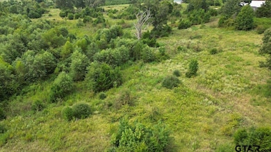 TBD S Mimosa Rd, Gilmer, TX 75644 - photo 5
