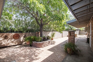 Rear Patio