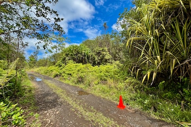 16-1495 Io Kea Rd, Mountain View, HI 96760 - photo 5