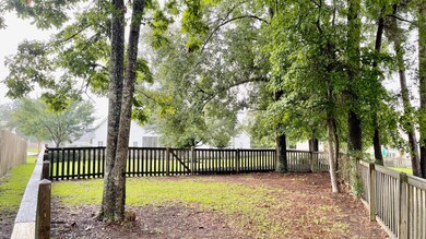 07 Pet Area