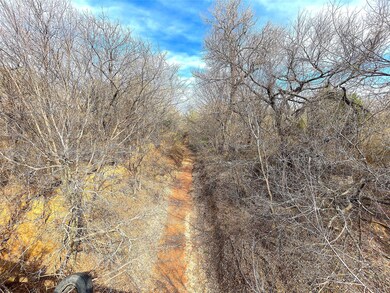 603 Advance Rd, Weatherford, TX 76088 - photo 4