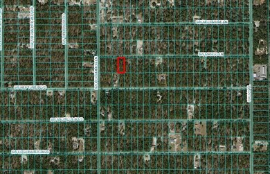 Lot 21 Mango Ln, Dunnellon, FL 34431 - photo 2