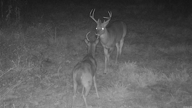 20.17 AC Rainbow Valley Trail, Mammoth Spring, AR 72554 - photo 3