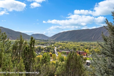 306 Wild Spring Ln unit 10, Basalt, CO 81621 - photo 3