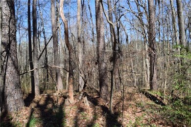 5425 Davis Dr, Austell, GA 30106 - photo 3