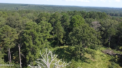 997 Morgantown Rd, Foxworth, MS 39483 - photo 2