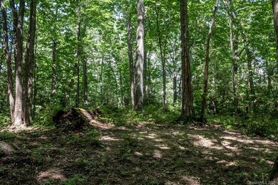 Beautiful hardwood forest at the flat building sit
