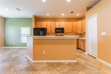 9921 Jasmine Brook Cir, Land O Lakes, FL 34638 - photo 3