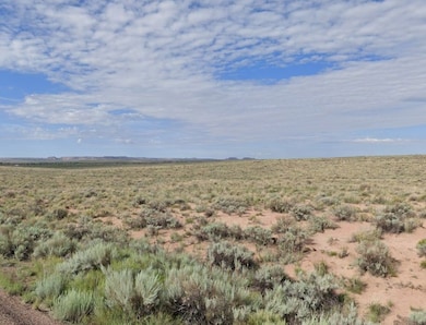 2538+6P4 Adaman unit a Arizona USA, Adamana, AZ 86025 - photo 5