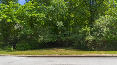 DJI_0360