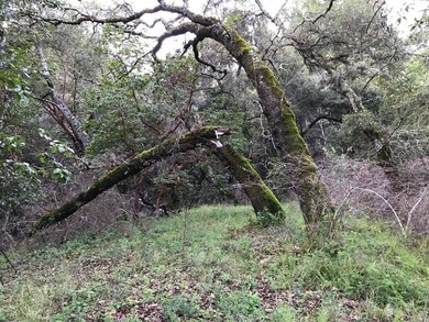 0 Upper E Zayante unit ML81693618, Los Gatos, CA 95033 - photo 4