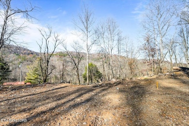 1224 Highway 25, Lafollette, TN 37766 - photo 3