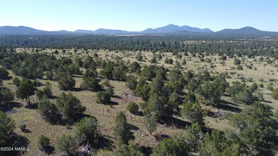 DJI_0274
