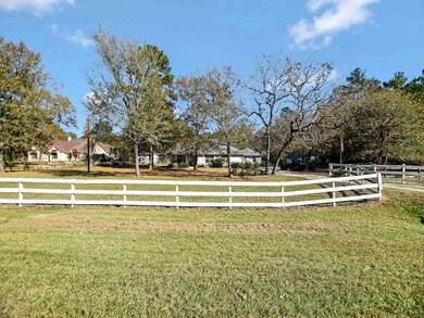 25120 Oak Hollow Blvd, Hockley, TX 77447 - photo 4