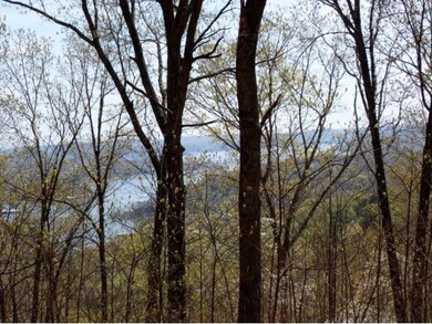 Lot 10 Plateau, Kimberling City, MO 65686 - photo 4