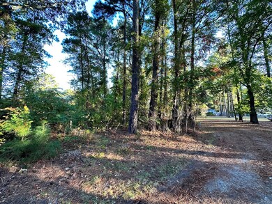 0.23 Mason Dr unit 11, Chincoteague, VA 23336 - photo 5