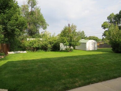 02 Backyard